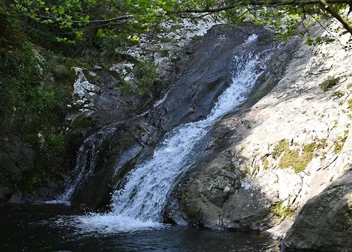 Casa de Férias Mas Catalan *